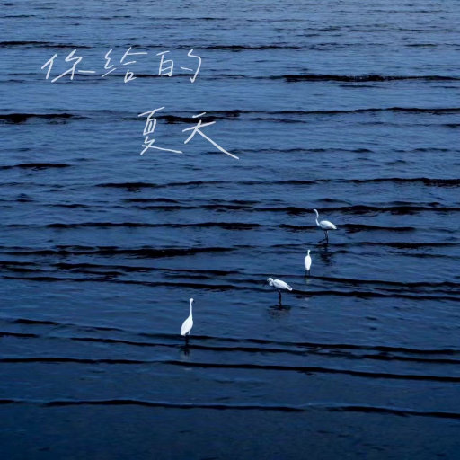 叙利亚女人逼逼视频
